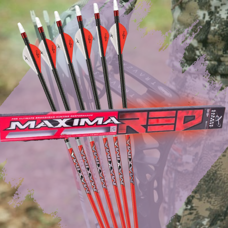 Top 11 Best Arrows for Bow Hunting 2024 - Hunt With Reliable Arrows